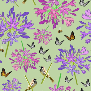 Agapanthus Enchantment (butterflies, birds + bees) - sage green, large