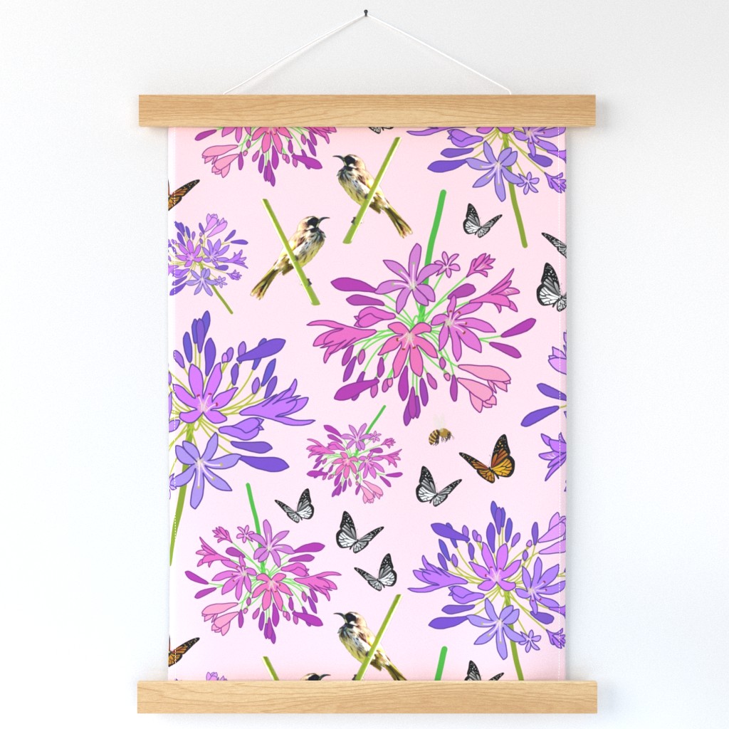 Agapanthus Enchantment (butterflies, birds + bees) - pastel pink, large