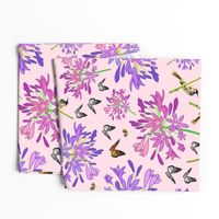 Agapanthus Enchantment (butterflies, birds + bees) - pastel pink, large