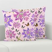 Agapanthus Enchantment (butterflies, birds + bees) - pastel pink, large