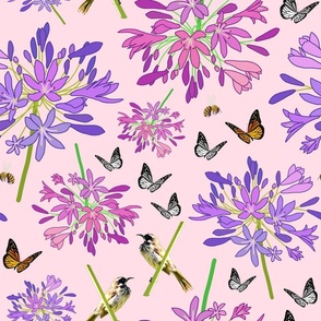 Agapanthus Enchantment (butterflies, birds + bees) - pastel pink, large