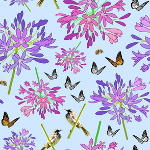 Agapanthus Enchantment (butterflies, birds + bees) - pastel blue, large