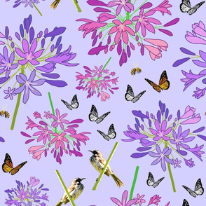 Agapanthus Enchantment (butterflies, birds + bees) - pastel lavender, large