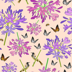 Agapanthus Enchantment (butterflies, birds + bees) - pastel coral, large