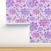 Agapanthus Enchantment (butterflies, birds + bees) - pastel lilac, large