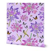 Agapanthus Enchantment (butterflies, birds + bees) - pastel lilac, large