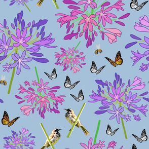 Agapanthus Enchantment (butterflies, birds + bees) - steel blue, large