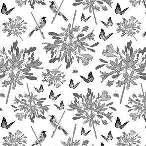 Agapanthus Enchantment (butterflies, birds + bees) - greyscale on white, medium