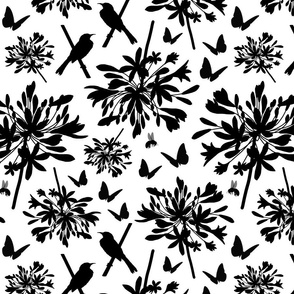 Agapanthus Enchantment (butterflies, birds + bees) - black on white, medium