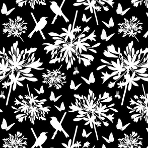 Agapanthus Enchantment (butterflies, birds + bees) - white on black, medium