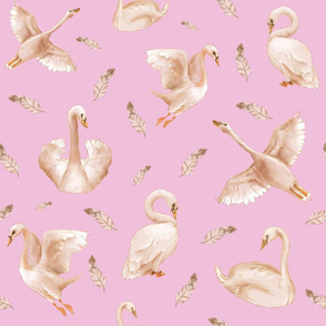 swan new pink