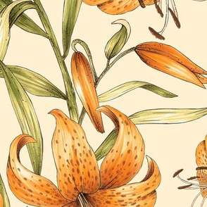 Tiger Lilies L - Cream