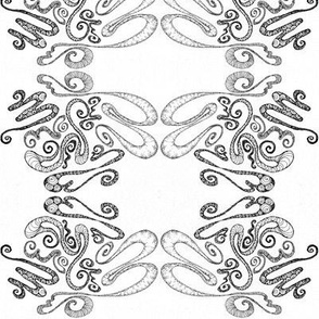 Curly Loopy lovely-B&W mirrored