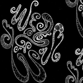 Curly Loopy lovely-White on Black