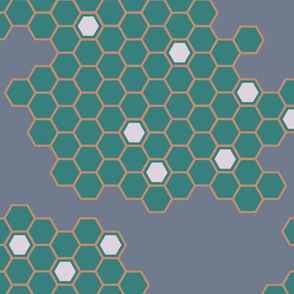 Hexagons & Honeycombs