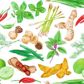 Watercolor Illustration of a set of spices