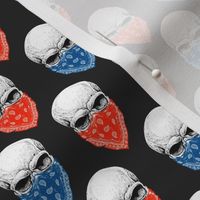 Skulls Red and Blue Charcoal Back