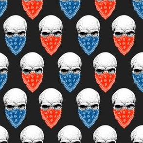 Skulls Red and Blue Charcoal Back