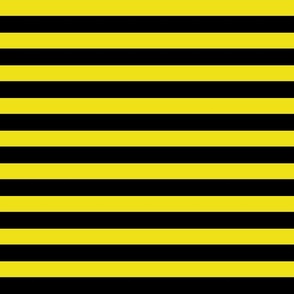 1 inch house colors yellow black horizontal stripes