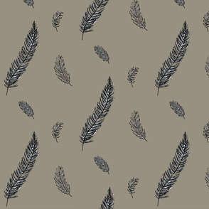 Owl feathers grey