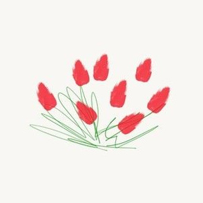 Red tulip sketch (large)