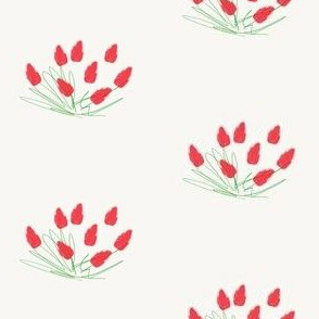 Red tulip sketch (small)
