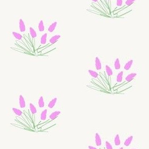 Pink tulip sketch (small)