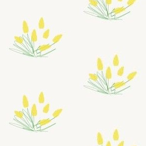 Yellow tulip sketch (small)