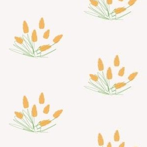 Orange tulip sketch (small)