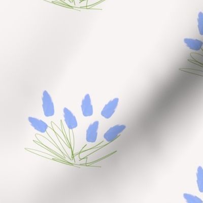 Blue tulip sketch (large)