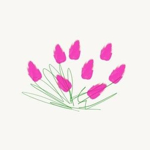 Bright pink tulip sketch (large)