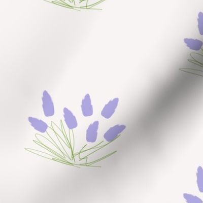 Lilac tulip sketch (large)