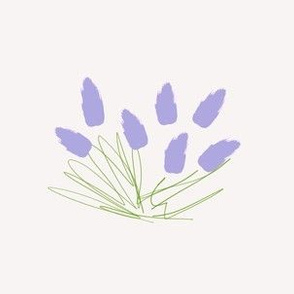 Lilac tulip sketch (large)