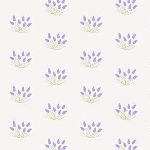 Lilac tulip sketch (mini)