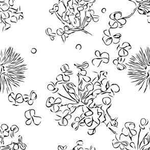 Petal and Thistle Line Drawing
