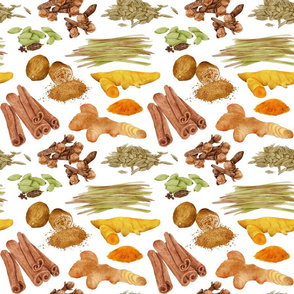 Watercolor Illustration of a set of spices