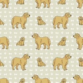  Hand drawn cute golden retriever breed dog and puppy seamless pattern