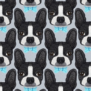 BOW TIE BOSTON TERRIER BLUE 24