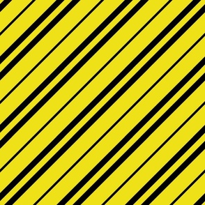 house colors diagonal yellow black big