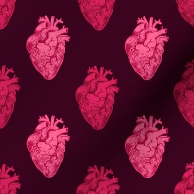 Anatomical Valentine Hearts Dark