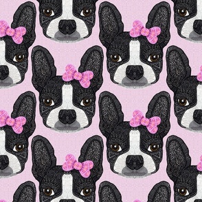 BOSTON TERRIER GIRL PINK 24