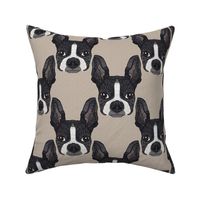 BOSTON TERRIER HEAD PATTERN 8 BEIGE