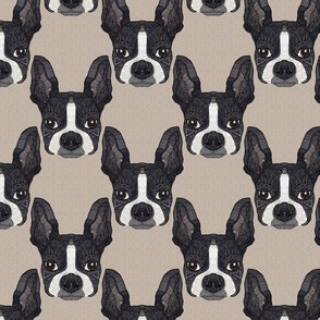 BOSTON TERRIER HEAD PATTERN 8 BEIGE