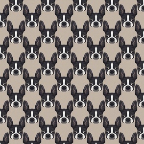  BOSTON TERRIER HEAD PATTERN 4 BEIGE