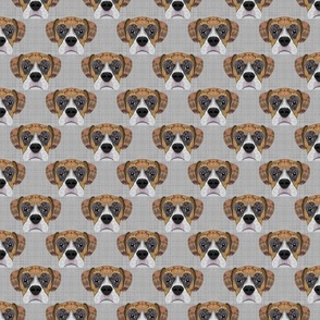 COLORED BOXER HEAD PATTERN 8 