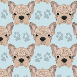 SP 10 2020 BEIGE FRENCHIE WB PATTERN