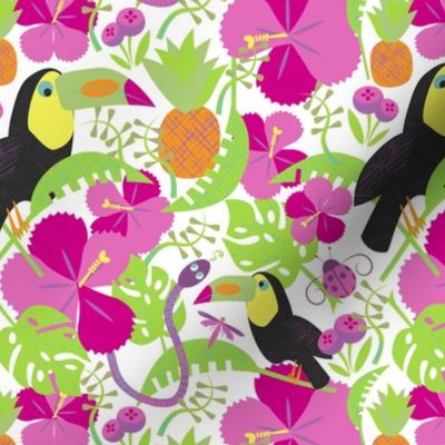 Toucan / rain forest / jungle / hibiscus / bright pink