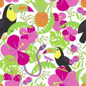 Toucan / rain forest / jungle / hibiscus / bright pink