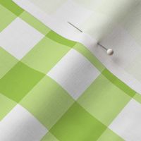 Spring Green  Gingham Plaid - 2 inch check