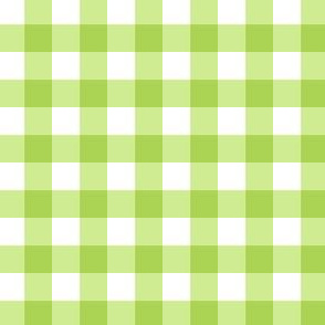 Spring Green Gingham Plaid 1 inch check